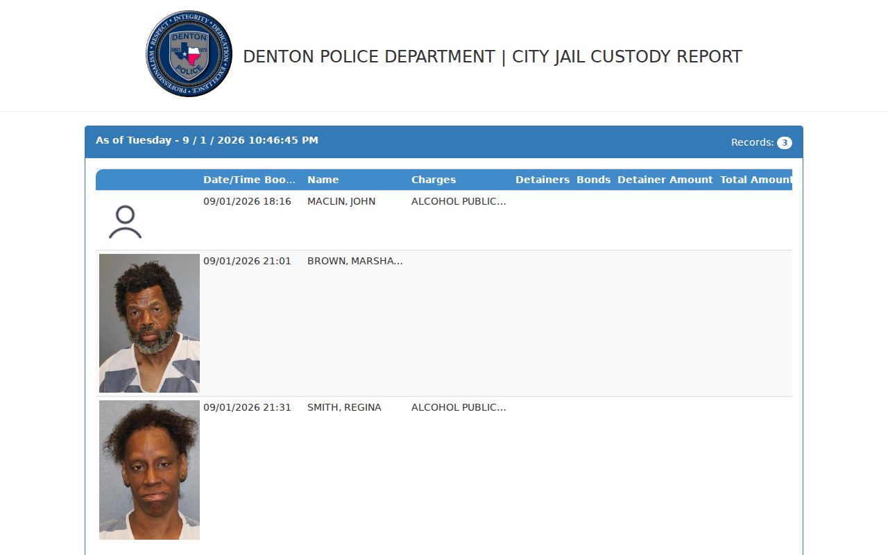 Denton County resident lookup JailView record fields